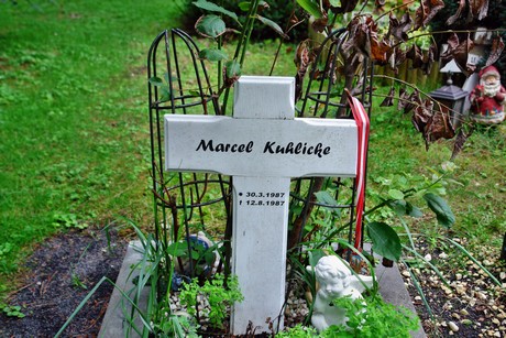 friedhof-niehl
