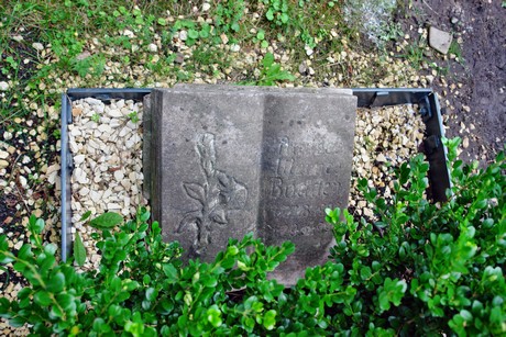 friedhof-niehl