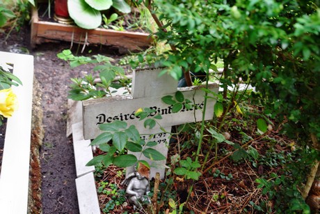 friedhof-niehl