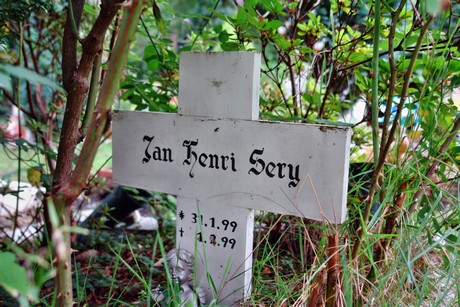 friedhof-niehl