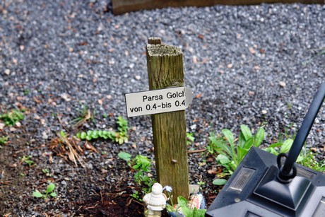 friedhof-niehl