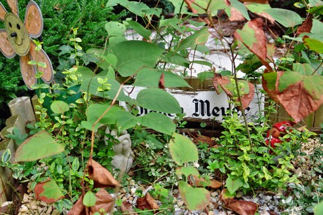 friedhof-niehl