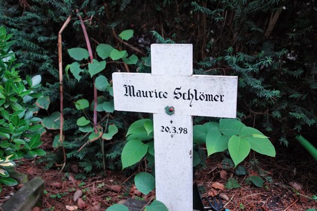 friedhof-niehl