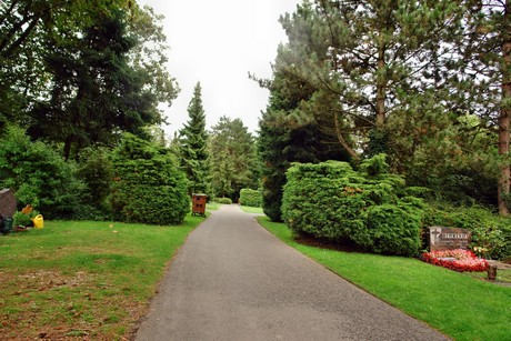 friedhof-niehl