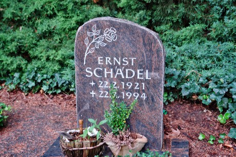 friedhof-niehl