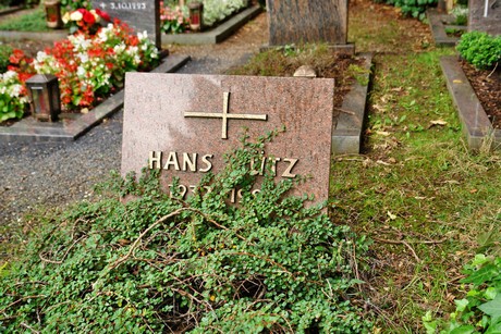 friedhof-niehl