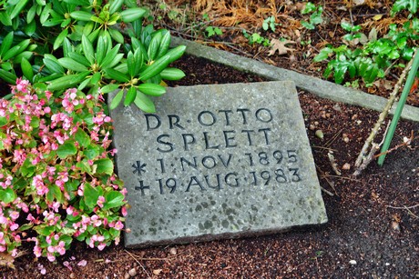 friedhof-niehl