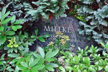 friedhof-niehl