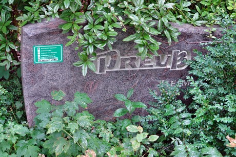 friedhof-niehl