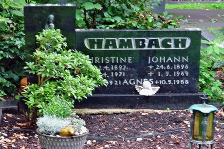 friedhof-niehl