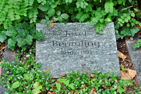 friedhof-niehl