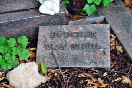 friedhof-niehl
