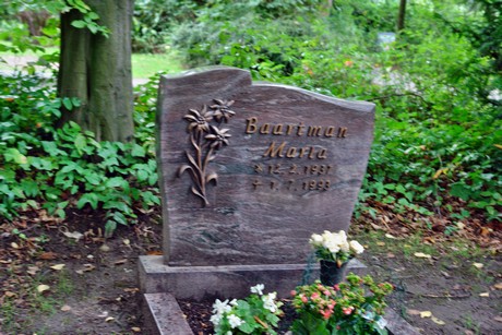 friedhof-niehl
