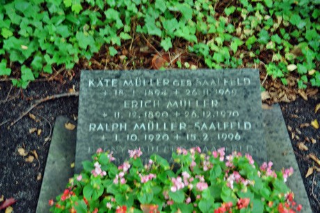 friedhof-niehl
