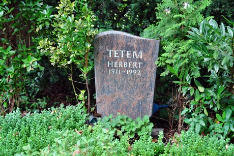 friedhof-niehl