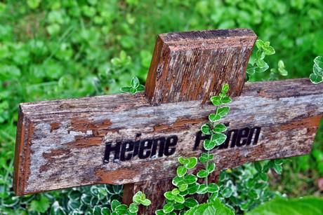 friedhof-niehl