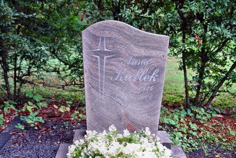 friedhof-niehl