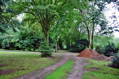 friedhof-niehl