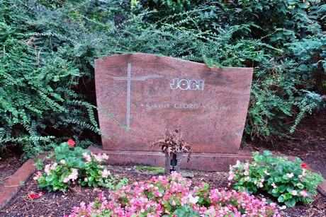 friedhof-niehl