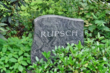 friedhof-niehl