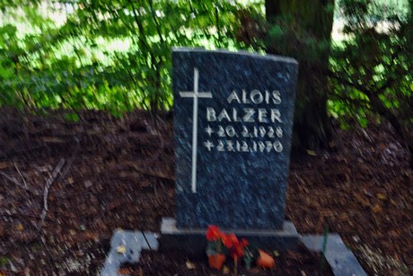 friedhof-niehl