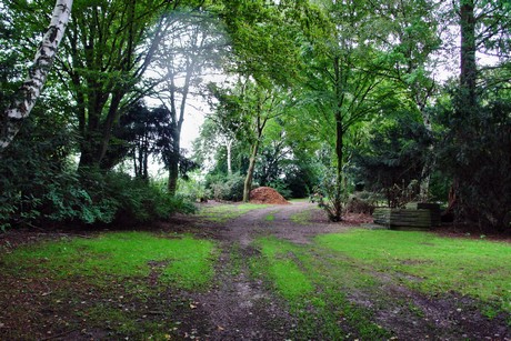 friedhof-niehl