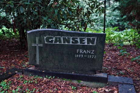 friedhof-niehl
