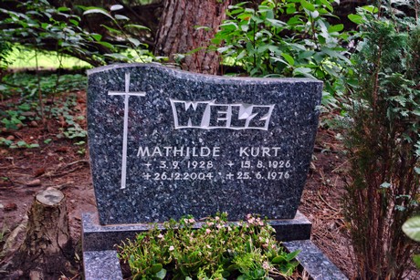 friedhof-niehl