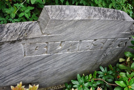 friedhof-niehl