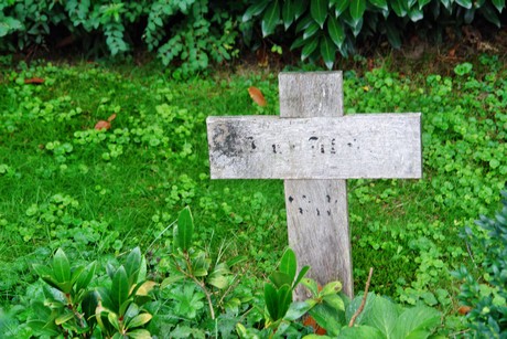friedhof-niehl
