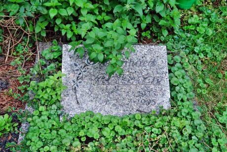 friedhof-niehl