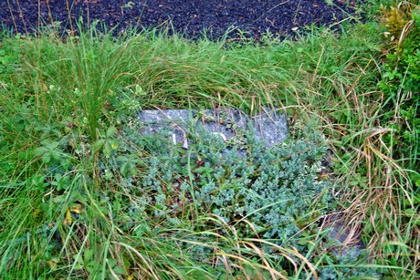friedhof-niehl