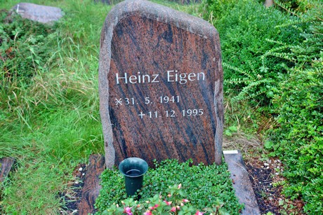 friedhof-niehl
