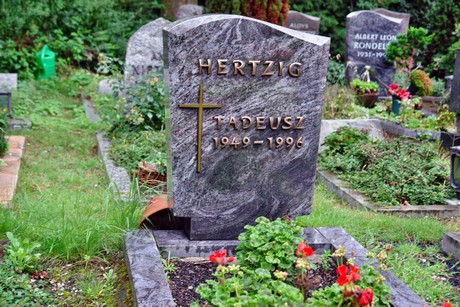 friedhof-niehl