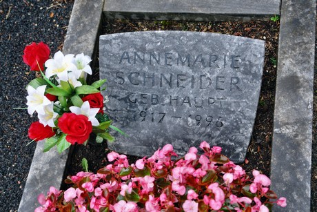 friedhof-niehl