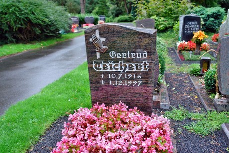 friedhof-niehl