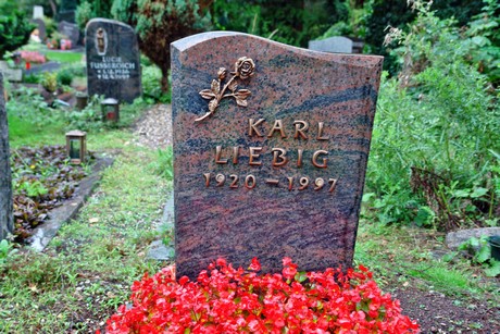 friedhof-niehl