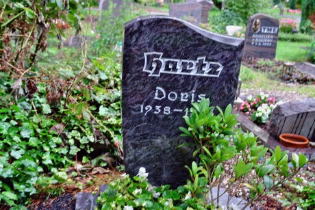 friedhof-niehl