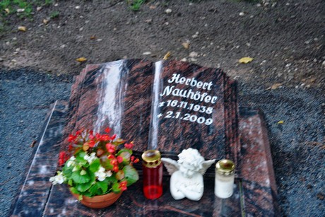 friedhof-niehl