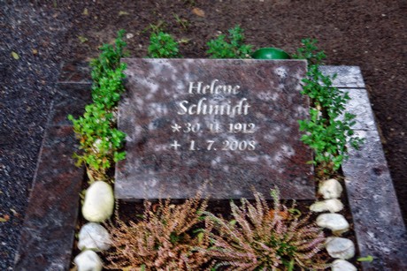 friedhof-niehl