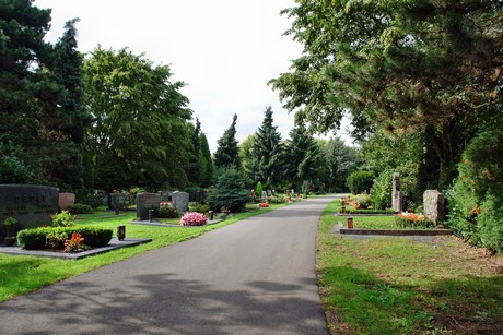 friedhof-niehl
