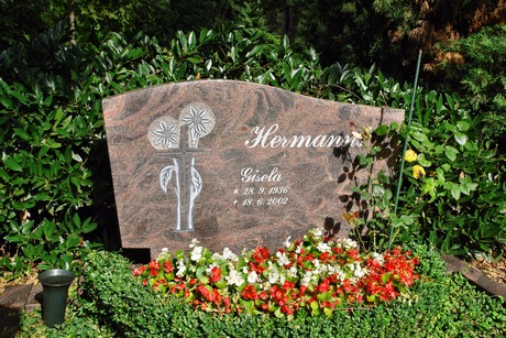 friedhof-niehl