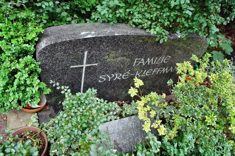 friedhof-niehl
