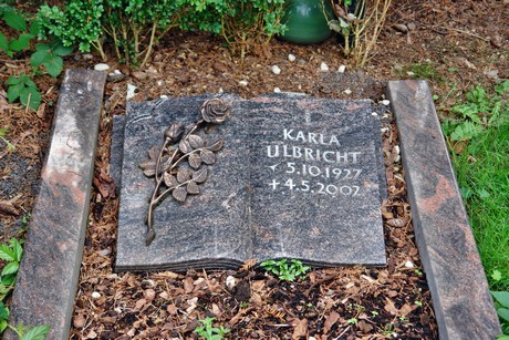 friedhof-niehl