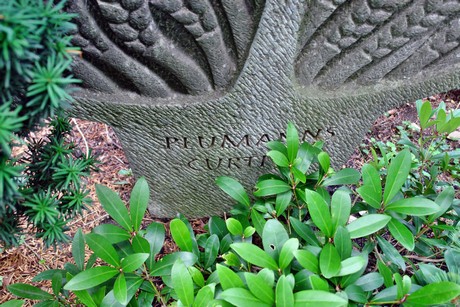 friedhof-niehl