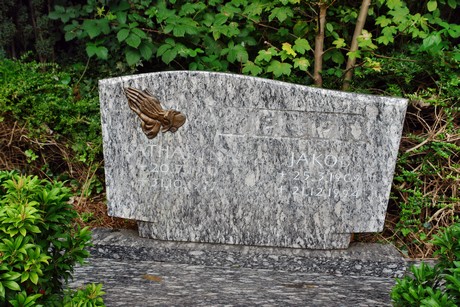 friedhof-niehl