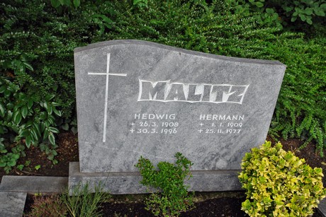 friedhof-niehl