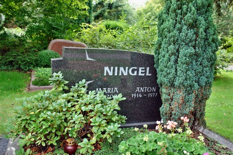 friedhof-niehl