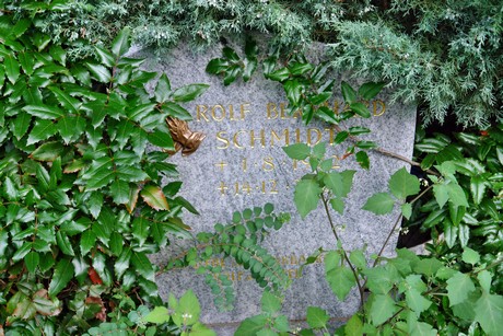 friedhof-niehl