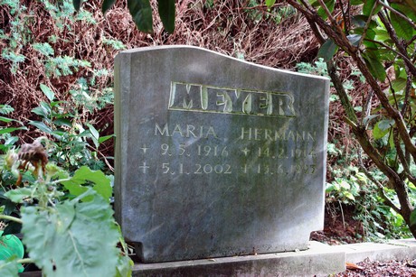 friedhof-niehl